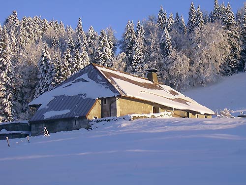 cliquez ici pour fermer la fen&ecirc;tre