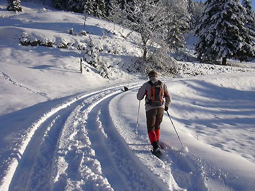 cliquez ici pour fermer la fen&ecirc;tre
