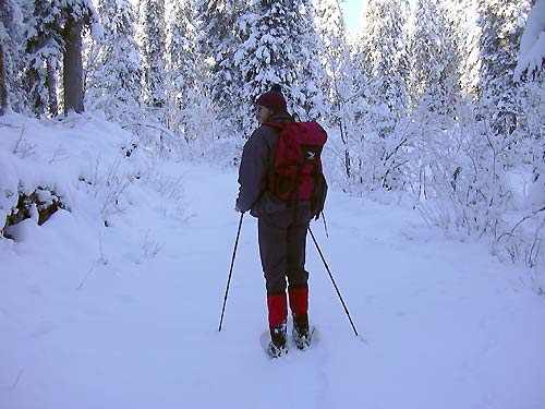 cliquez ici pour fermer la fen&ecirc;tre