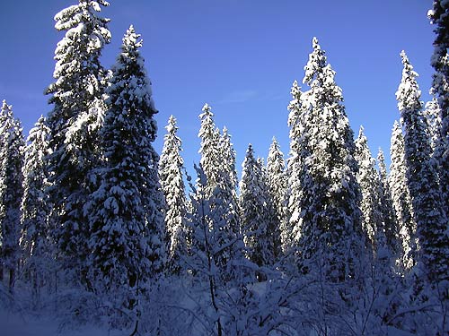 cliquez ici pour fermer la fen&ecirc;tre