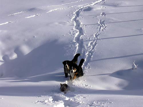 cliquez ici pour fermer la fen&ecirc;tre