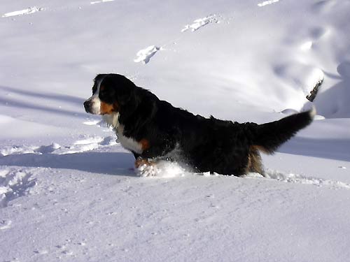 cliquez ici pour fermer la fen&ecirc;tre