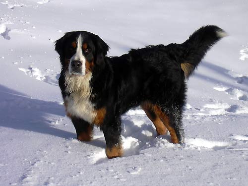 cliquez ici pour fermer la fen&ecirc;tre