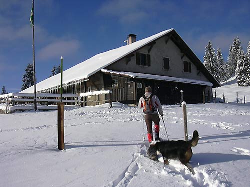 cliquez ici pour fermer la fen&ecirc;tre