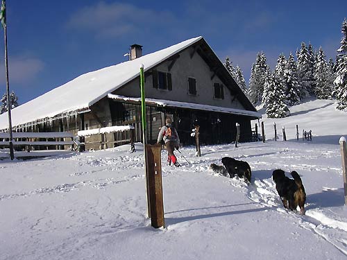 cliquez ici pour fermer la fen&ecirc;tre
