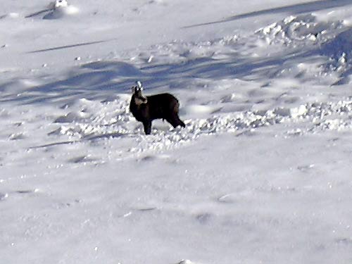 cliquez ici pour fermer la fen&ecirc;tre