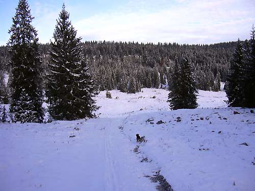 cliquez ici pour fermer la fen&ecirc;tre