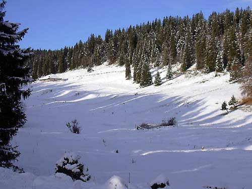 cliquez ici pour fermer la fen&ecirc;tre