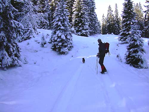 cliquez ici pour fermer la fen&ecirc;tre