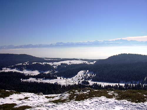 cliquez ici pour fermer la fen&ecirc;tre