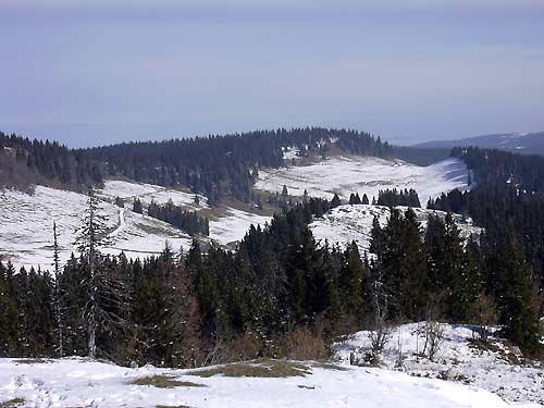 cliquez ici pour fermer la fen&ecirc;tre