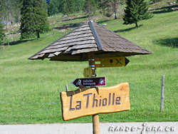 Cliquer pour agrandir