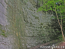 Cliquer pour agrandir