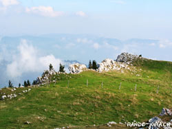 Cliquer pour agrandir