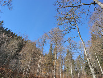 Cliquer pour agrandir