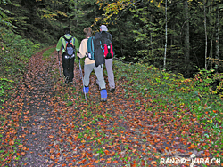 Cliquer pour agrandir