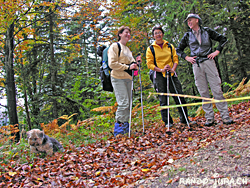 Cliquer pour agrandir