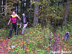 Cliquer pour agrandir