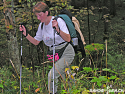 Cliquer pour agrandir