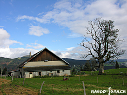 Cliquer pour agrandir