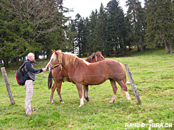 Cliquer pour agrandir