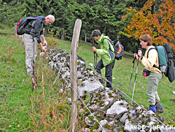 Cliquer pour agrandir