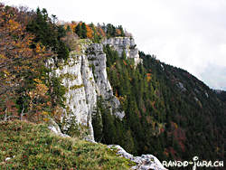 Cliquer pour agrandir