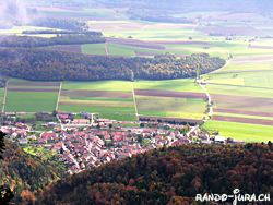 Cliquer pour agrandir