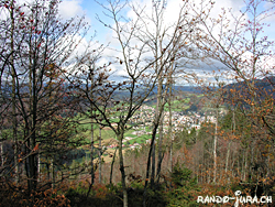 Cliquer pour agrandir