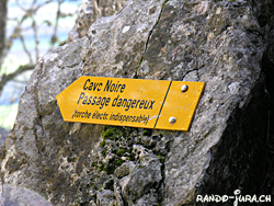 Cliquer pour agrandir