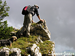 Cliquer pour agrandir