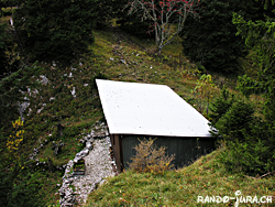 Cliquer pour agrandir