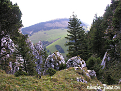 Cliquer pour agrandir