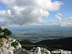 Cliquer pour agrandir