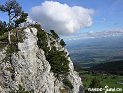 Cliquer pour agrandir