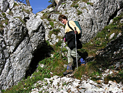 Cliquer pour agrandir