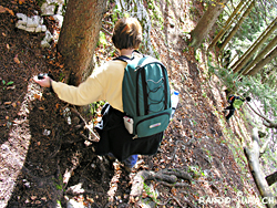 Cliquer pour agrandir