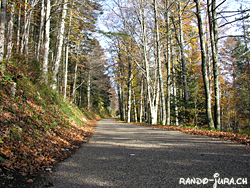 Cliquer pour agrandir