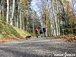 Cliquer pour agrandir