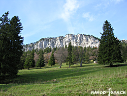 Cliquer pour agrandir