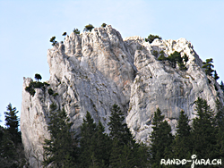 Cliquer pour agrandir