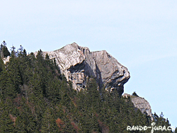 Cliquer pour agrandir