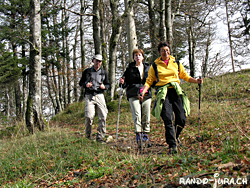 Cliquer pour agrandir