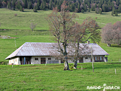 Cliquer pour agrandir