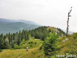 Cliquer pour agrandir