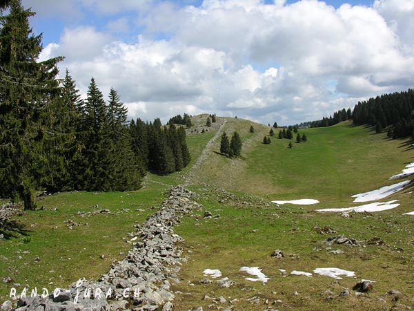 Cliquer pour agrandir