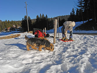 Cliquer pour agrandir