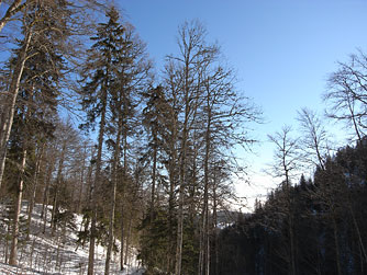 Cliquer pour agrandir