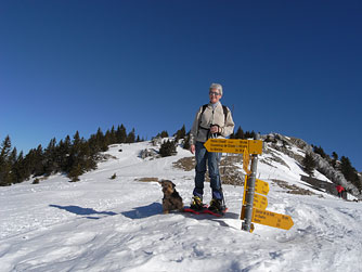 Cliquer pour agrandir