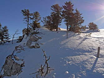 Cliquer pour agrandir